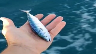 Sinopta sezonun uğuru yakalandı