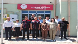 Sinopta tarımsal faaliyetler değerlendirildi