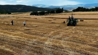 Sinopta yılın ilk buğdayları hasat edildi