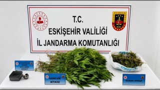 Sivrihisarda uyuştucu operasyonu, 1 zanlı tutuklandı