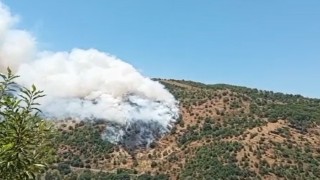 Sultanhisarda makilik ve orman yangını