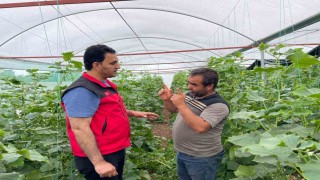 Sulu tarım mevsimlik tarım işçiliğini bitirdi