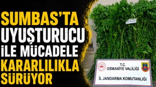 Sumbas'ta Uyuşturucu ile Mücadele Kararlılıkla Sürüyor
