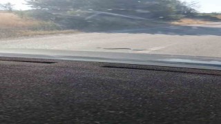 Sürücülerin yol üstündeki yılanla ilginç anları cep telefonu kamerasına yansıdı