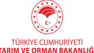 Tarım ve Orman Bakanlığı'ndan Çekirge İstilası Açıklaması
