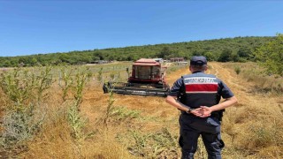 Tarlada su tankersiz hasat yapan biçördöver sahibine 3 bin 705 lira ceza