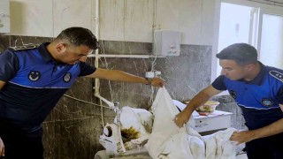 Tarsus'ta fırın denetimlerinde haşereli hamur tespit edildi