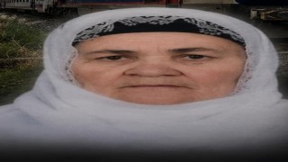 Tatvanda trenin çarptığı yaşlı kadın hayatını kaybetti