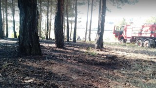 Tavşanlıda erken müdahale ormanı kurtardı