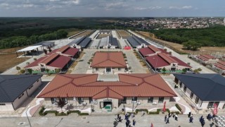 Tekirdağda 5 binden fazla sahipsiz hayvana umut oldular
