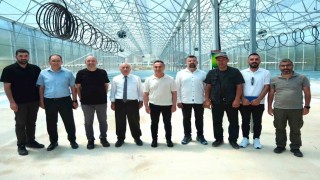 TOGÜ tohumluk patates üretimine başlıyor