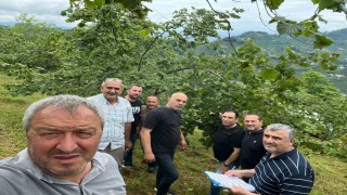 Trabzonda Fındıkta rekolte tespiti çalışmaları başladı