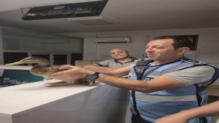 Trafiği durdurup ördeği kurtardılar