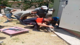 Trafo deliğine başı sıkışan kedi itfaiye ekiplerince kurtarıldı