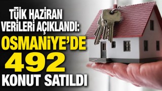 TÜİK Haziran Verileri Açıklandı: Osmaniye'de 492 Konut Satıldı