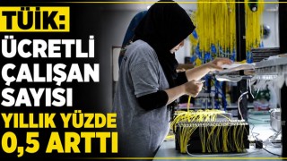 TÜİK: Ücretli Çalışan Sayısı Yıllık Yüzde 0,5 Arttı