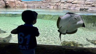 Tünel Akvaryum turistlerin gözdesi oldu