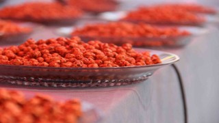 Uluslararası Hitit Fuar ve Festivalinde Çorumun en iyi leblebileri yarıştı