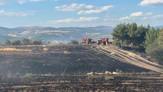 Uşak'ta ormanlık alana sıçrayan yangın söndürüldü