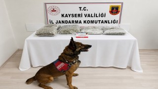Uyuşturucuyla yakalanan CHPli meclis üyesi istifa etti