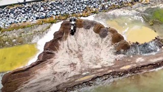 Uzmanından Tatvan sahilindeki dolgu çalışmasıyla ilgili bilimsel uyarı: Van Gölü ekosistemi zarar görebilir