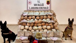 Van'da 333 kilo skunk ele geçirildi
