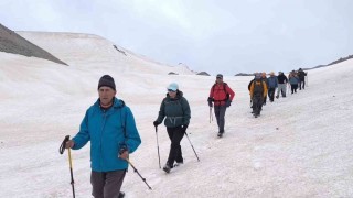 Vangölü aktivistlerinden Süphan Dağı zirvesinde ‘Van Gölü mesajı