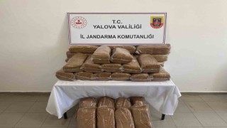 Yalova'da 160 kilo kaçak tütün ele geçirildi
