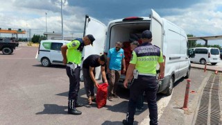 Yalovada 3 ton kaçak midye ele geçirildi