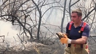 Yangının ortasında kalan kaplumbağayı itfaiye ekipleri kurtardı