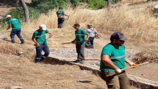 Yangınlara karşı Ayvalıkta kuru ot temizliği aralıksız sürüyor