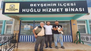 Yaralı leylek koruma altına alındı