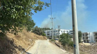 Yerleşim yerlerine yakın makilik alandaki yangın korkuttu