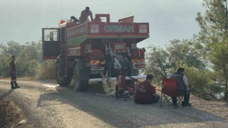 Yeşil vatan için ateşe yürüdüler, sabahı küle bulanmış yüzlerle karşıladılar