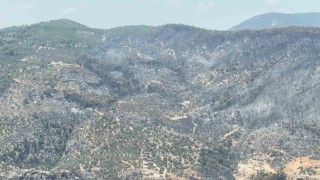 Yeşilden siyaha bürünen alan helikopterden görüntülendi