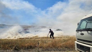 Yol kenarındaki otluk alanda yangın çıktı