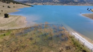 Yozgatta badem ağaçları sular altında kaldı