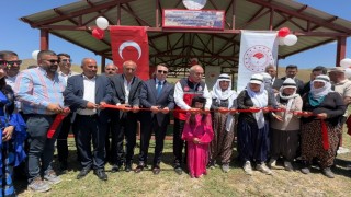 Yüksekova'da berivanlar gölgeliğe kavuştu