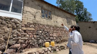 Yüksekovada yılanlar bir evin kabusu oldu