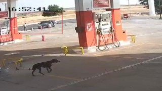 2 kişinin öldüğü, 5 kişinin yaralandığı silahlı kavga kameraya yansıdı