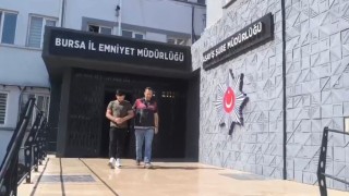 250 saatlik kamera kaydı izlediler, inşaat farelerini böyle çözdüler