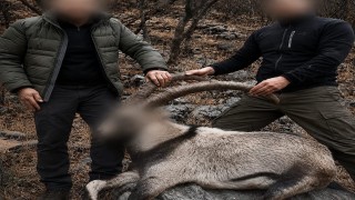 5 yaban keçisini yasa dışı avlayan şahıslara idari para cezası uygulandı