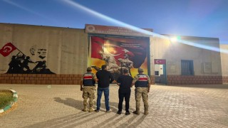 Açık Ceza İnfaz Kurumundan firar eden 2 hükümlüyü jandarma yakaladı