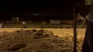 Adıyamanda çizgili sırtlan evlerin bahçesinde görüntülendi