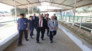 ADÜ Rektörü Kent, Ziraat Fakültesinde incelemelerde bulundu
