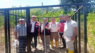 Afyonkarahisarda süne zararlısının takibi için Erken Uyarı İstasyonu kuruldu