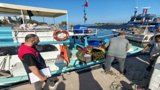 Akçakocada balıkçılar sezona hızlı başladı