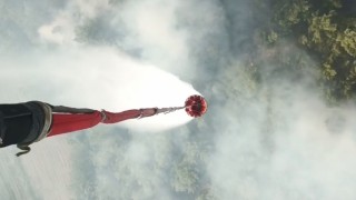 Akhisarda orman yangını