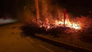 Alacada çıkan örtü yangını söndürüldü
