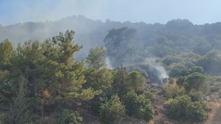 Alanya ve Konyaaltı'nda Orman Yangını